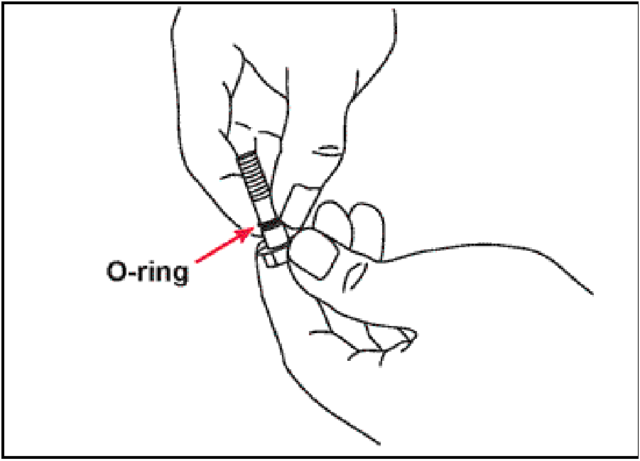 520065657_graphic-text266